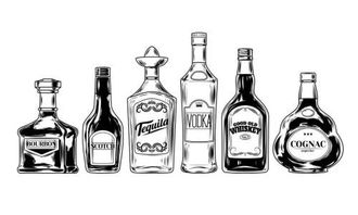 調酒之魂 從經典基酒到新興脫醇酒的全景探索