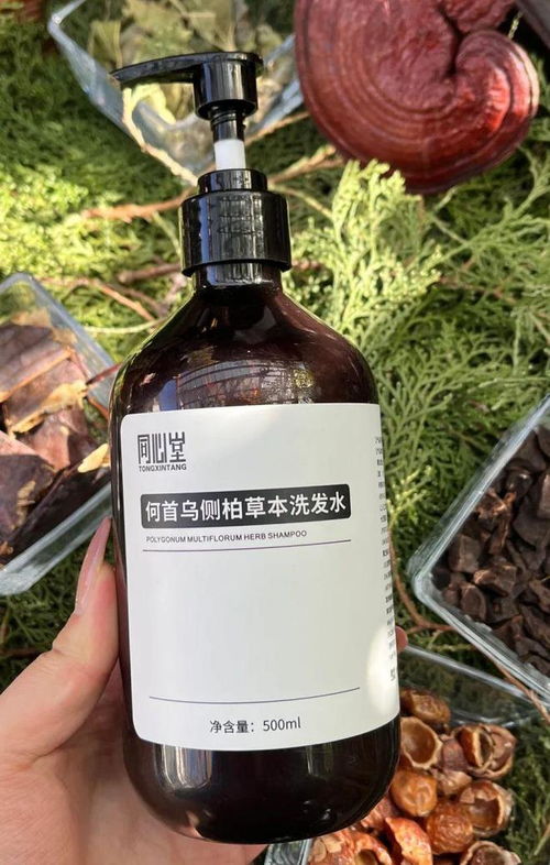 告別脫發困擾！2024平價防脫育發產品盤點，這四款值得一試